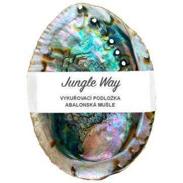 Jungle Way Abalone Shell suport pentru fumigație