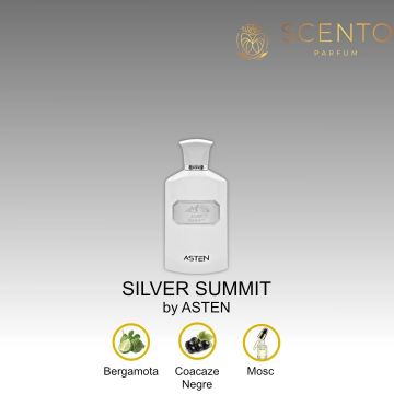 Apă de parfum Asten, Silver Summit, barbati, 100ml