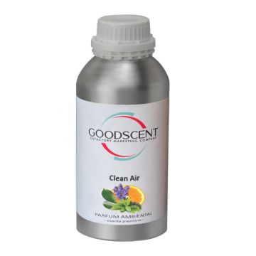 Esenta parfum ambiental, Good Scent, aroma Clean Air, 1 Kg la reducere