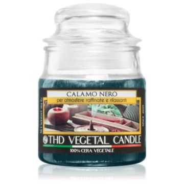THD Italian Luxury Calamo Nero lumânare parfumată ieftin