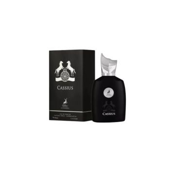 Alhambra Perseus Men EDP, Volum 100 ml