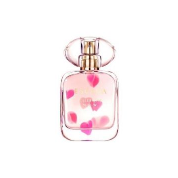Escada Celebrate NOW EDP, Volum 80 ml