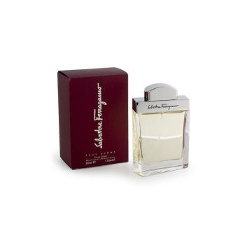 Salvatore Ferragamo Pour Homme parfum pentru barbati EDT, Volum 100 ml