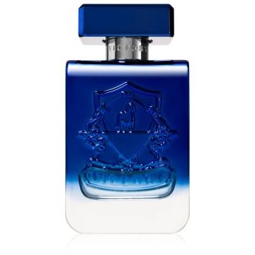 Victory Radiant Eau de Parfum unisex