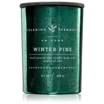 DW Home Charming Farmhouse Winter Pine lumânare parfumată