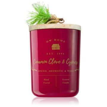 DW Home Farmhouse Cinnamon Clove & Cypress lumânare parfumată