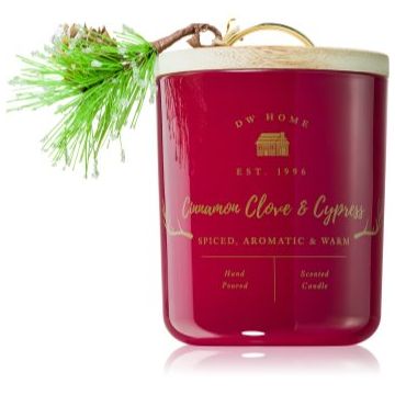 DW Home Farmhouse Cinnamon Clove & Cypress lumânare parfumată