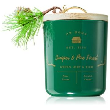 DW Home Farmhouse Juniper & Pine Forest lumânare parfumată