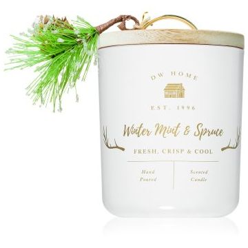 DW Home Farmhouse Winter Mint & Spruce lumânare parfumată