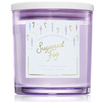 DW Home Winter Wonderland Sugared Fig lumânare parfumată