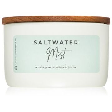 Milkhouse Candle Co. Statement Saltwater Mist lumânare parfumată