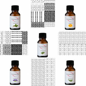 PACHET: 5 rezerve de 10g Esenta parfum ambiental, Good Scent, AROMATERAPIE