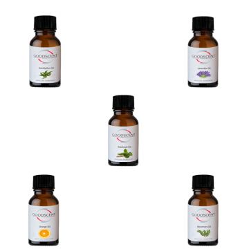 PACHET: 5 rezerve de 10g Esenta parfum ambiental, Good Scent, AROMATERAPIE