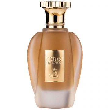 Emir Voux Elegante, Apă de parfum, Bărbați, 100ml