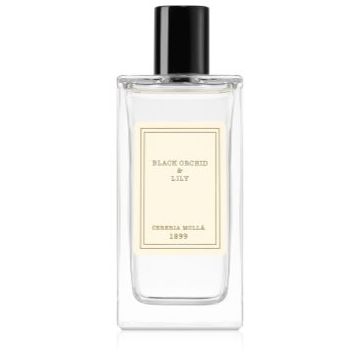 Cereria Mollá Black Orchid & Lily spray pentru camera