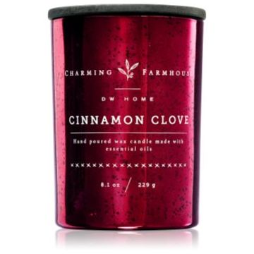 DW Home Charming Farmhouse Cinnamon Clove lumânare parfumată