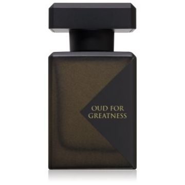 Initio Parfums Privés Oud for Greatness spray parfumat pentru par unisex de firma original