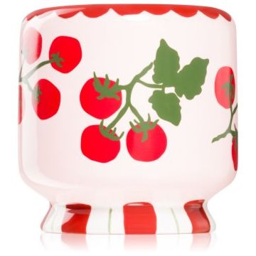 Paddywax A Dopo Tomato Vine lumânare parfumată