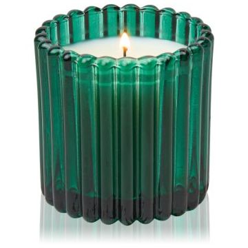 Paddywax Balsam & Fir lumânare parfumată