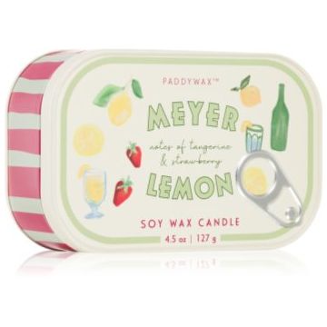 Paddywax Bistro Meyer Lemon lumânare parfumată