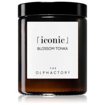 The Olphactory Iconic Blossom Tonka lumânare parfumată