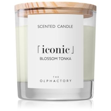 The Olphactory Iconic Blossom Tonka lumânare parfumată