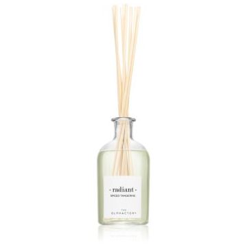 Ambientair The Olphactory Spiced Tangerine difuzor de aroma radiant