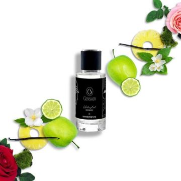 Parfum barbati Ginsari 602 Nisa, Chypre  Fructat, 50 ml