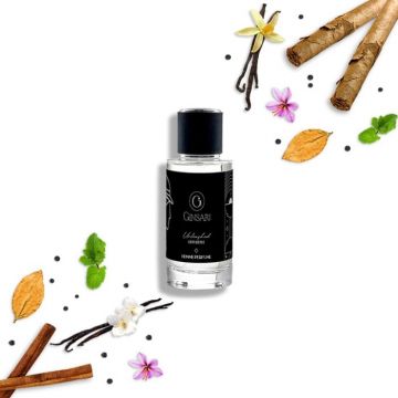 Parfum barbati Ginsari 604 Nisa, Condimentat  Lemnos, 50 ml