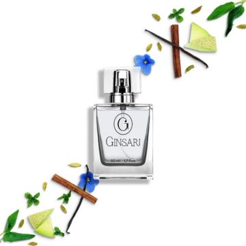 Parfum barbati Ginsari 94, Aromatic  Fougere, 50 ml ieftin