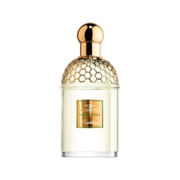 Guerlain Aqua Allegoria Herba Fresca EDT Volum 125 ml