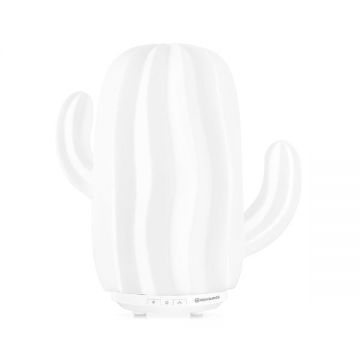 Decoratiune pentru atomizator Cactus, Equivalenza