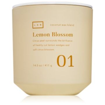 DW Home Lab Lemon Blossom lumânare parfumată
