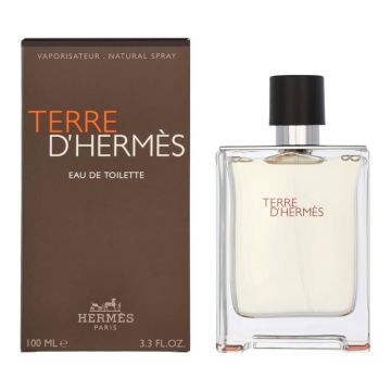Hermes Terre d'Hermès 100ml, Apa de Toaletă, Barbati