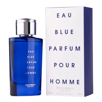Pendora Scents Eau Blue pour Homme 100ml, Apă de Parfum, Bărbați