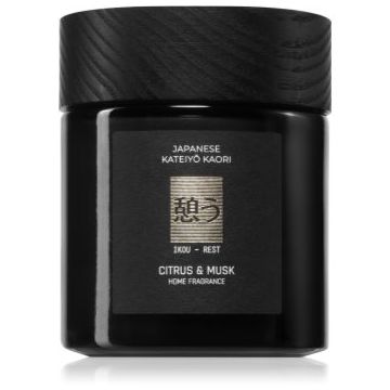 Vila Hermanos Apothecary Japanese Rest lumânare parfumată