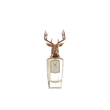 Pana Dora Patchouli Dust Extract de parfum unisex Volum 100 ml