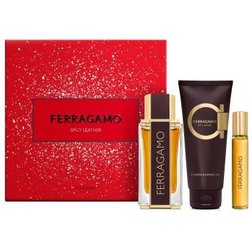 Ferragamo Spicy Leather set cadou pentru bărbați
