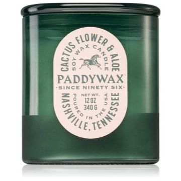 Paddywax Vista Cactus Flower & Aloe lumânare parfumată