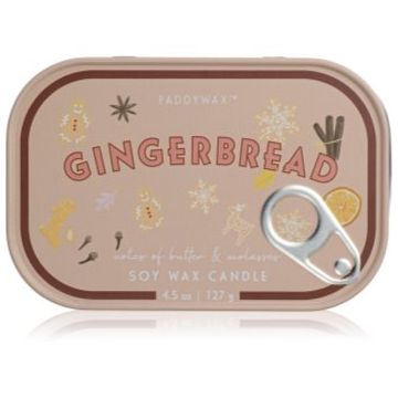 Paddywax Bistro Pumpkin Spice lumânare parfumată