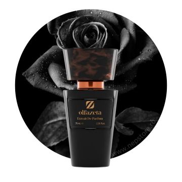 Parfum barbati nr 030 Chogan   Olfazeta 70 ml