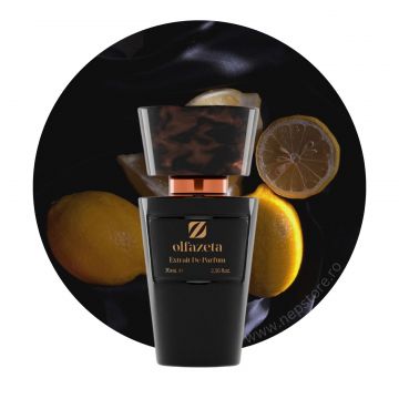 Parfum barbati nr 033 Chogan   Olfazeta 70 ml