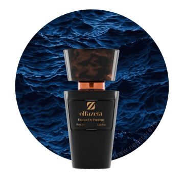 Parfum barbati nr 038 Chogan   Olfazeta 70 ml