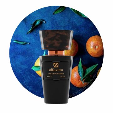 Parfum barbati nr 084 Chogan   Olfazeta 70 ml