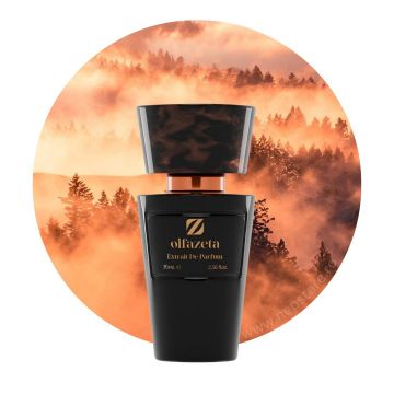Parfum unisex nr 072 Chogan   Olfazeta 70 ml