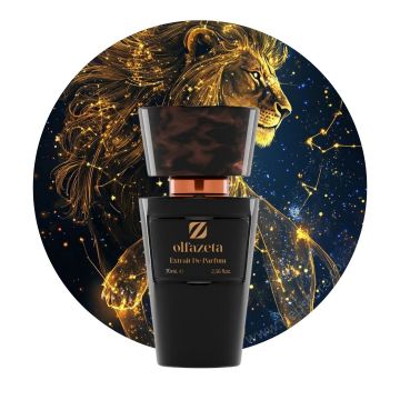 Parfum unisex nr 110 Chogan   Olfazeta 70 ml