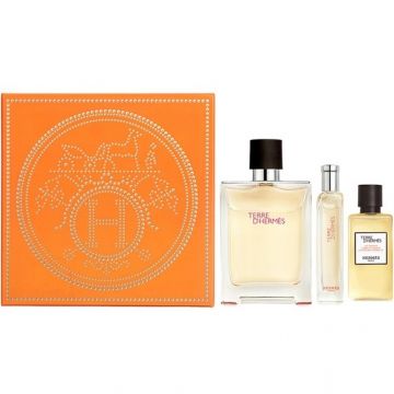 Hermes Terre 100ml.15ml.40sg Apa De Toaleta Barbati SET Ml
