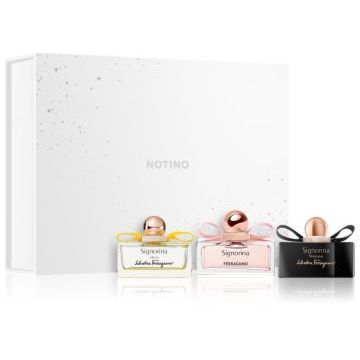 Beauty Discovery Box Exclusive Notino The Ferragamo Edit set cadou pentru femei