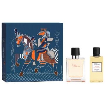 HERMÈS Terre d’Hermès Gift Set Eau de Toilette set cadou pentru bărbați