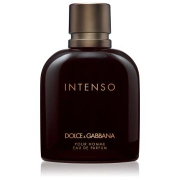 Dolce&Gabbana Pour Homme Intenso Eau de Parfum pentru bărbați